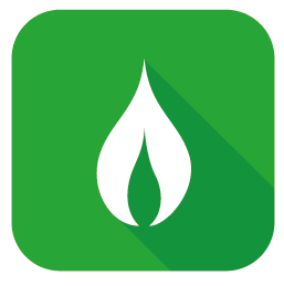 Bio-CNG